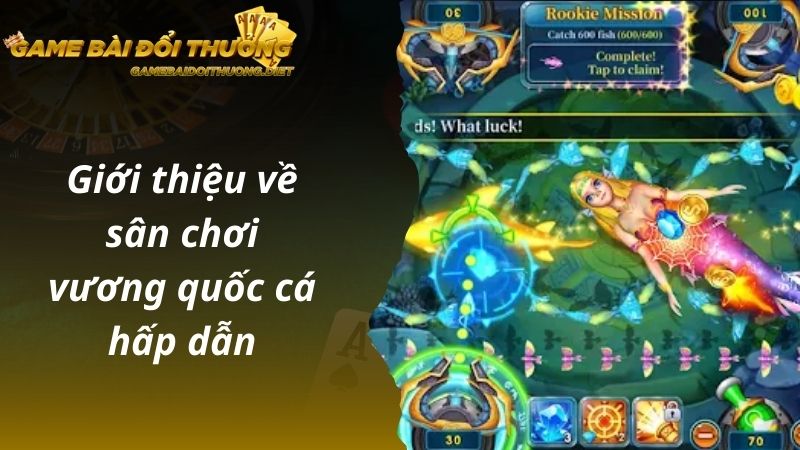 Giới thiệu về sân chơi vương quốc cá hấp dẫn 